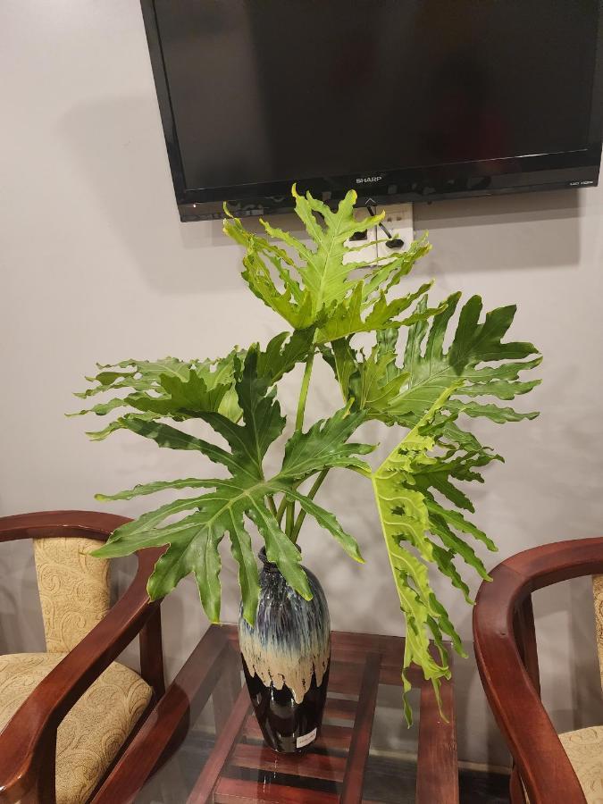 Hotel Te Amo Hajfong Zewnętrze zdjęcie
